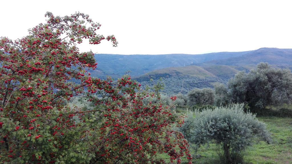 Le Case Di S. Andrea Buccheri Exterior photo